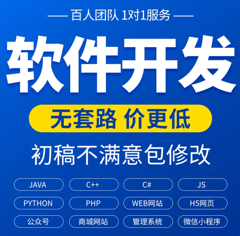 软件开发定制